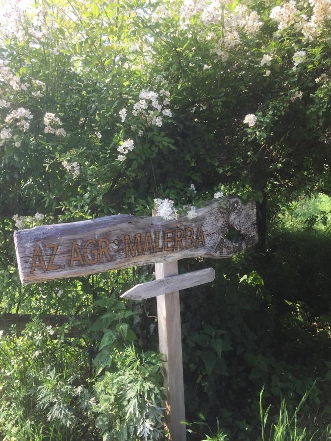 Apartament Bella Vista -Malpensa Airport-Leonardo- Varallo Pombia Zewnętrze zdjęcie